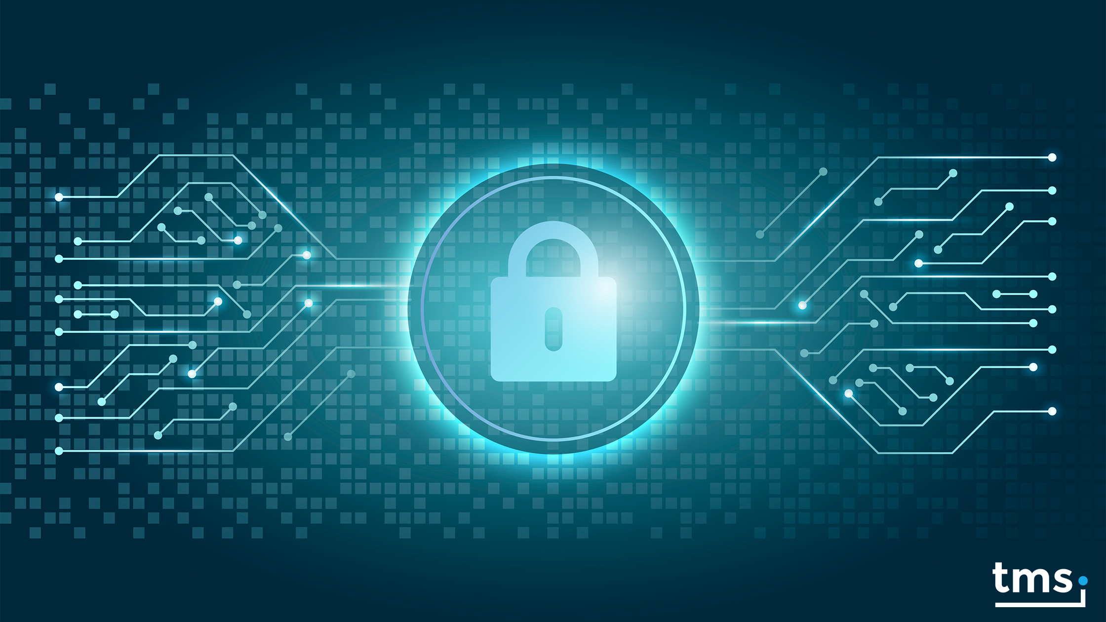 TMS Software Delphi  Components tmsaistudio